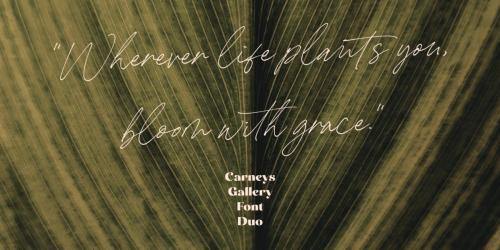 Carneys Gallery Font