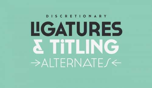 Cassannet Plus Font