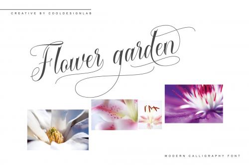 Cataline Script Font