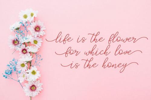 Catherine Script Font