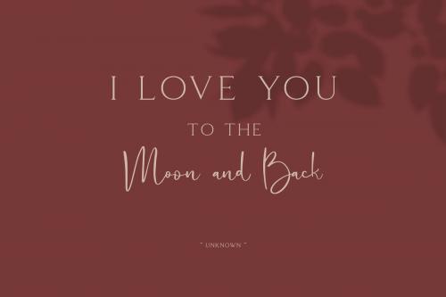Cattus Script Font