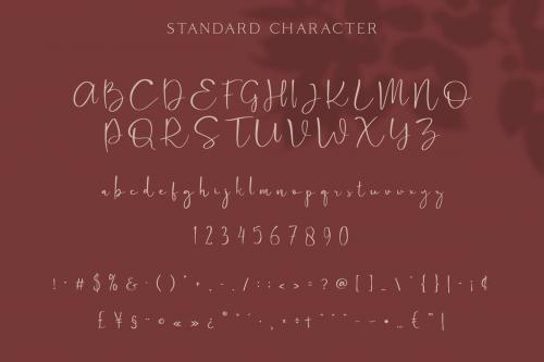 Cattus Script Font