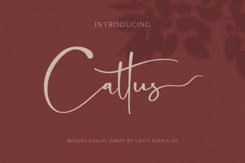 Cattus Script Font