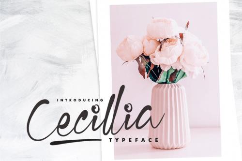 Cecilia Handwritten Font