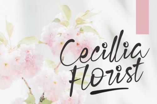 Cecilia Handwritten Font