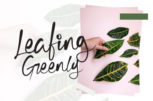 Cecilia Handwritten Font