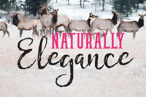 Chamille Sweet Script Font