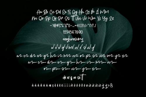 Chillhop Script Font