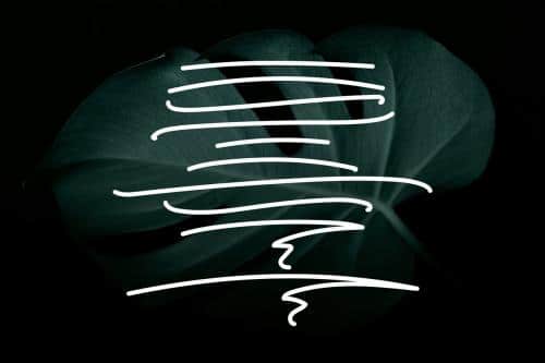 Chillhop Script Font