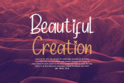 Chips Snack Script Font