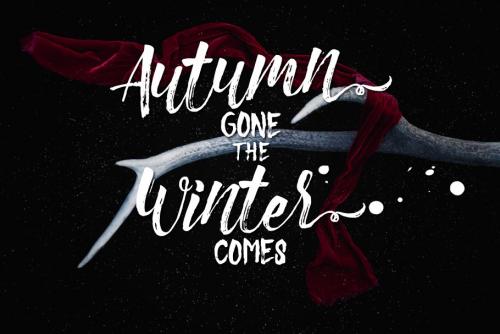 Christmas Beauty Brush Font