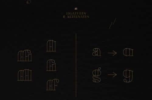 Chronos Serif Font Family