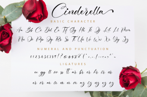 Cinderella Calligraphy Font