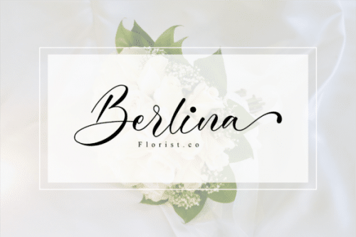 Cinderella Calligraphy Font