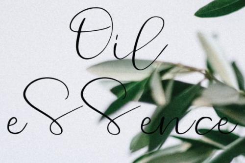 Cinnamon Font