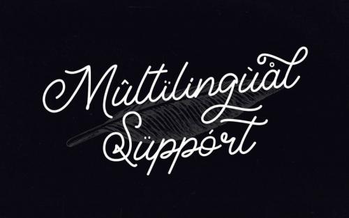 Classical Monoline Script Font