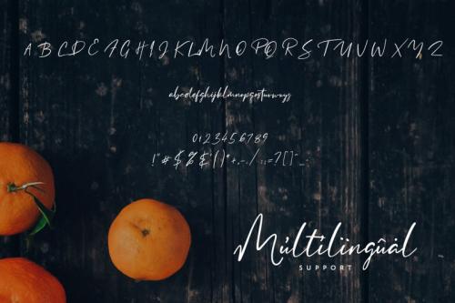Clementine Script Font