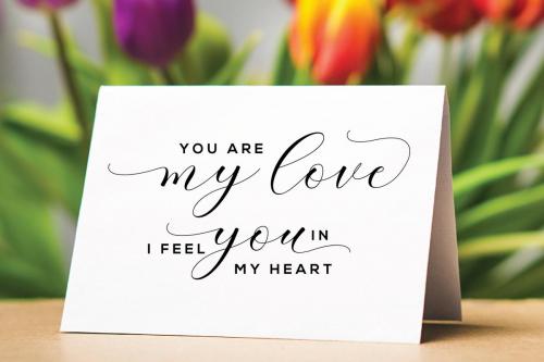 Clover Script Font