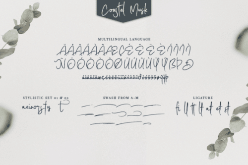 Coastal Musk Handwritten Font