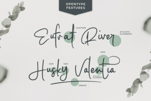 Coastal Musk Handwritten Font