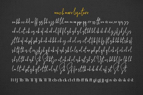 Concetta Kalvani Signature Script Font 12