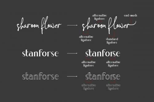 Concetta Kalvani Signature Script Font 8
