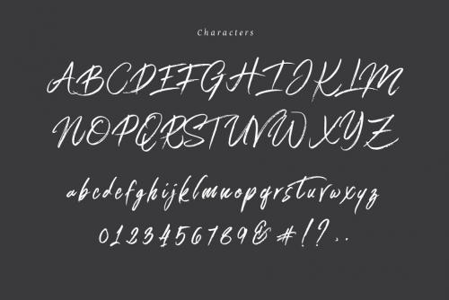 Connoisseurs Handbrush Font