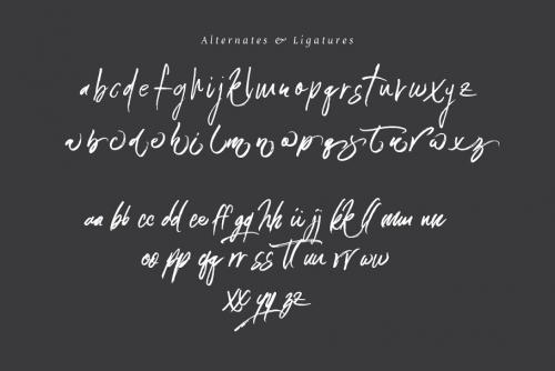 Connoisseurs Handbrush Font