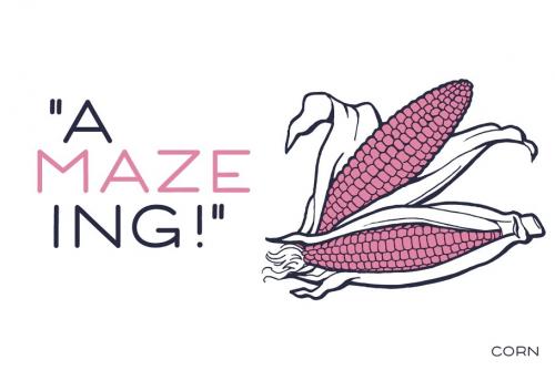 Corn Sans Serif Font