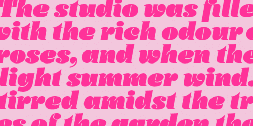 Daisy Font Family