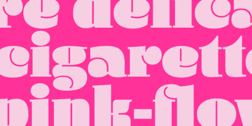 Daisy Font Family