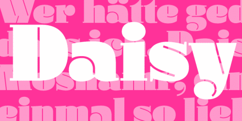 Daisy Font Family
