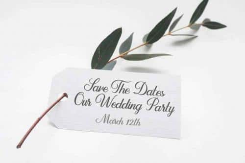 Dandelion Script Font Free Download