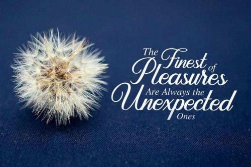 Dandelion Script Font Free Download