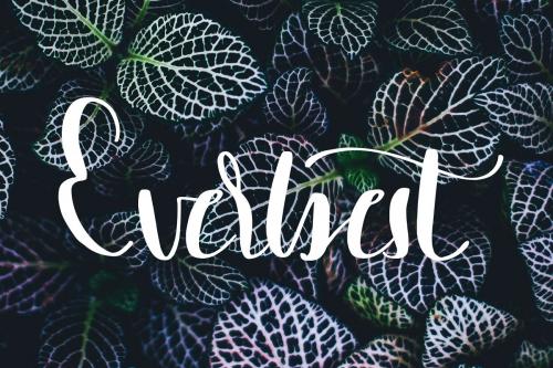 Darling Calligraphy Font