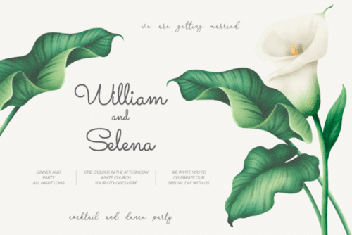 Darlington Script Font