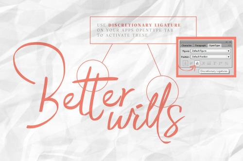 DearPony Serif Font Duo Family 11