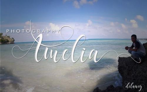 Delaney Script Font