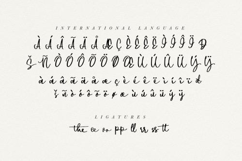 Downtown Script Font