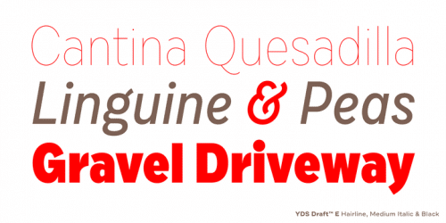 Draft Font Family