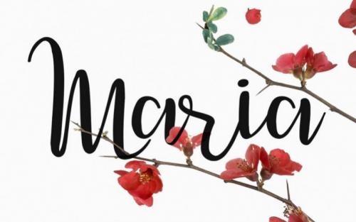 Dulce Nina Calligraphy Font