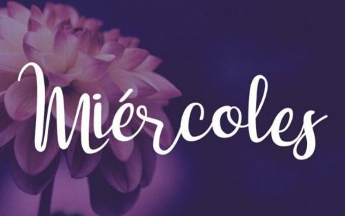 Dulce Nina Calligraphy Font