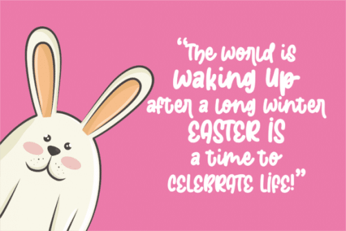 Easter Bunnies Display Font