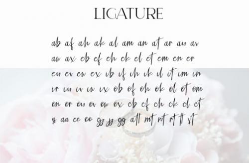 Elegant Fashion Font Duo