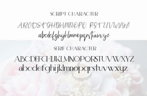 Elegant Fashion Font Duo