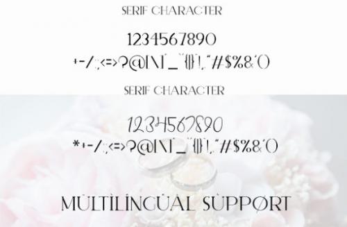 Elegant Fashion Font Duo