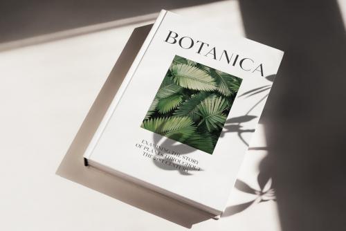 Equinox Font Duo