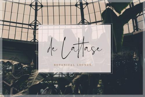 Estelly Stylish Signature Font