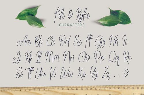Fili Kyla Script Font