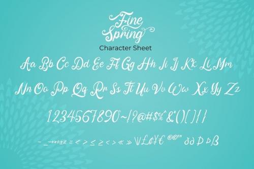 Fine Spring Calligraphy Font
